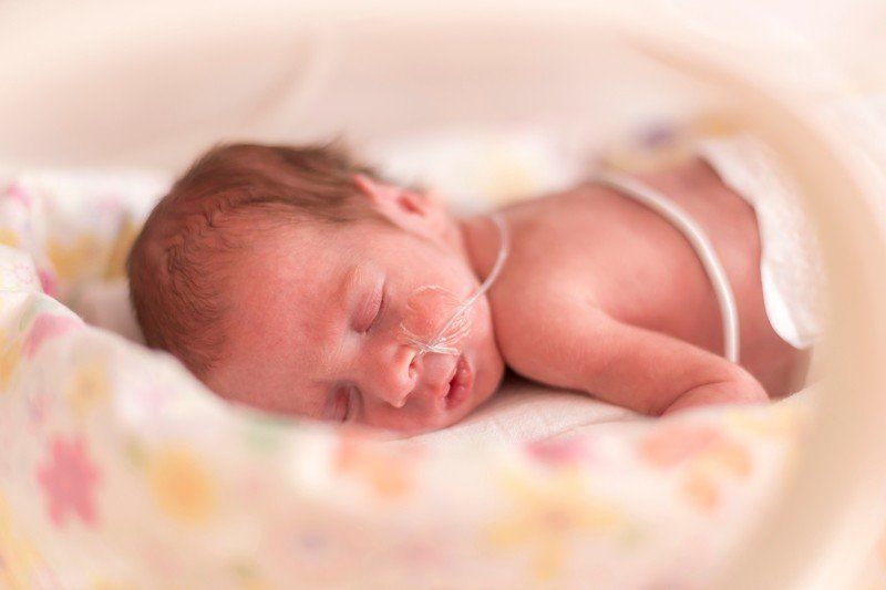 A newborn baby is sleeping in an incubator in a hospital.